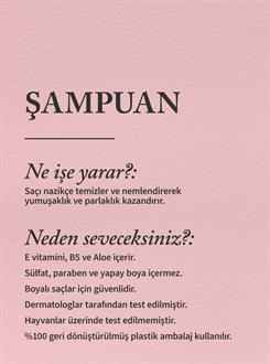 At the Beach / Şampuan