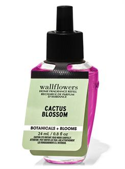 Cactus Blossom / Oda Kokusu Yedeği