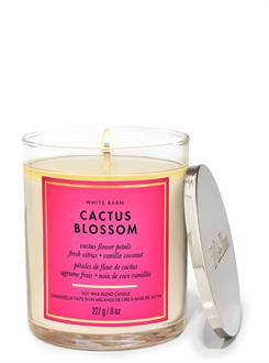 Cactus Blossom / Orta Boy Mum