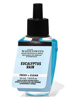 Eucalyptus Rain / Oda Kokusu Yedeği