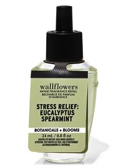 Eucalyptus Spearmint / Oda Kokusu Yedeği