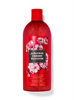 Japanese Cherry Blossom /