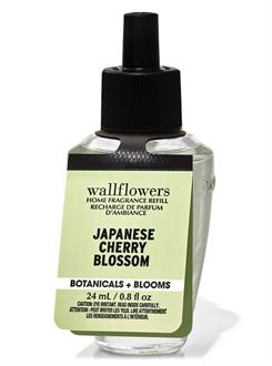Japanese Cherry Blossom / Oda Kokusu Yedeği