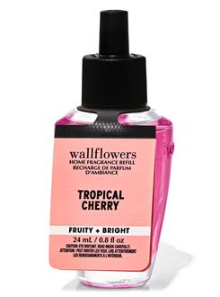 Tropical Cherry / Oda Kokusu Yedeği