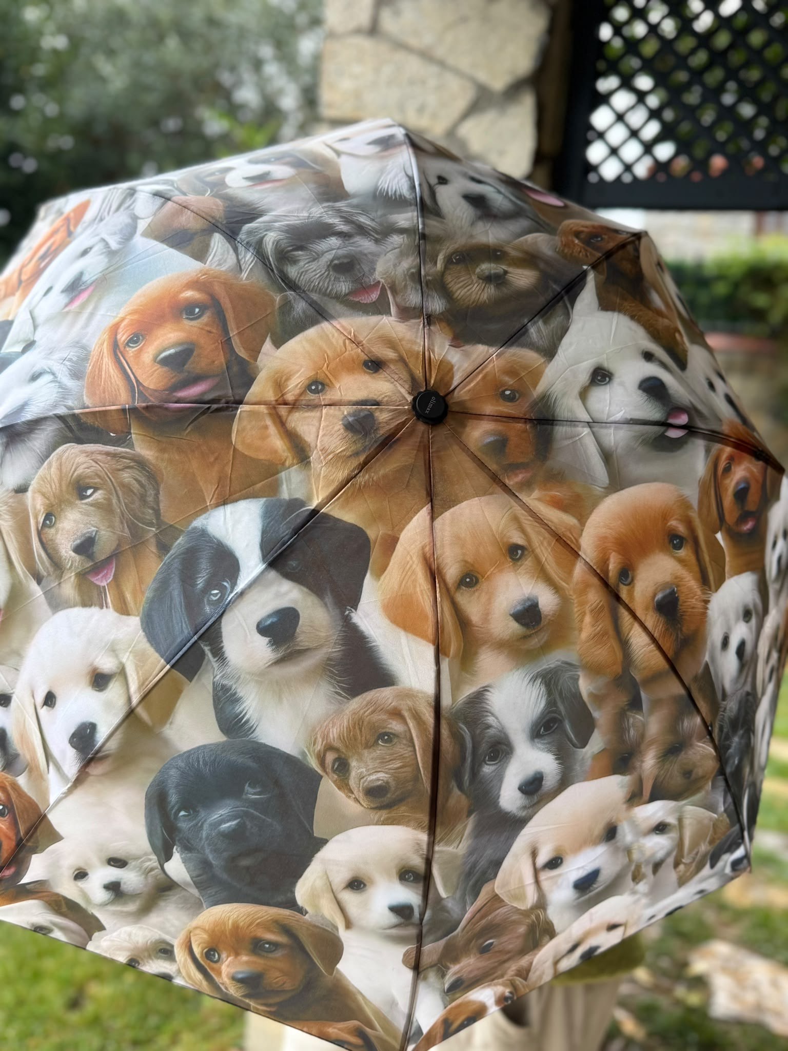 3d Köpek Desenli Şemsiye