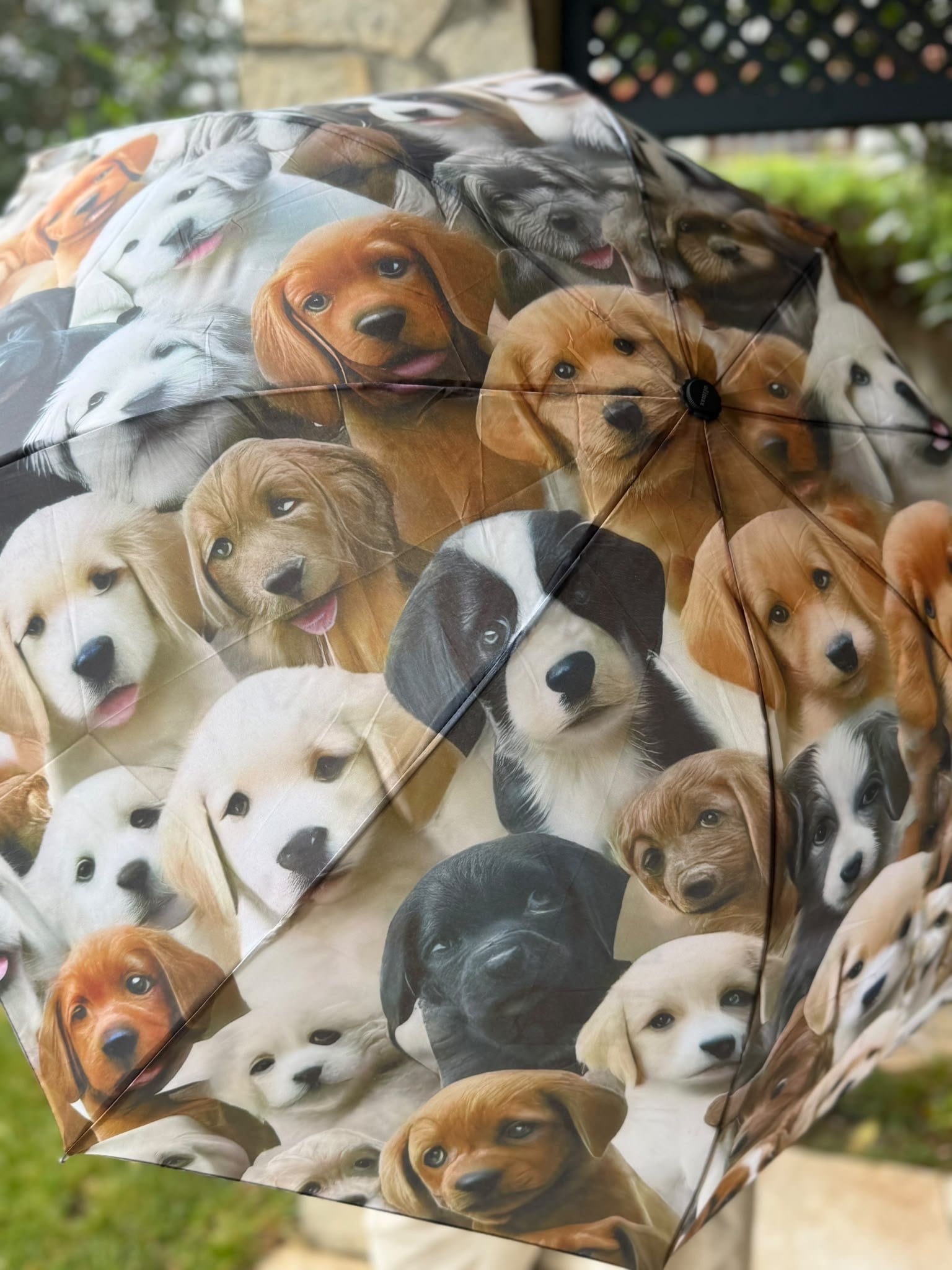 3d Köpek Desenli Şemsiye