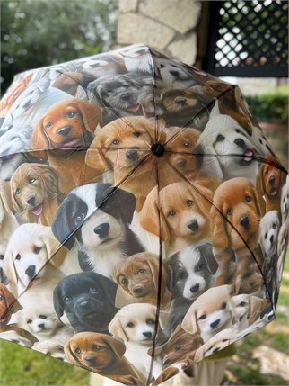 3d Köpek Desenli Şemsiye