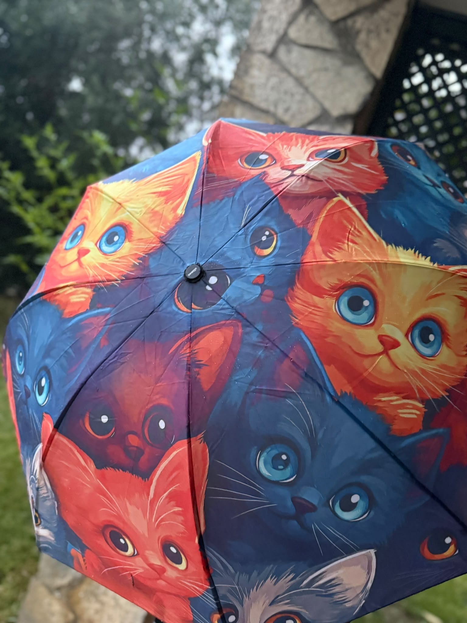 3d Kedi Desenli Şemsiye