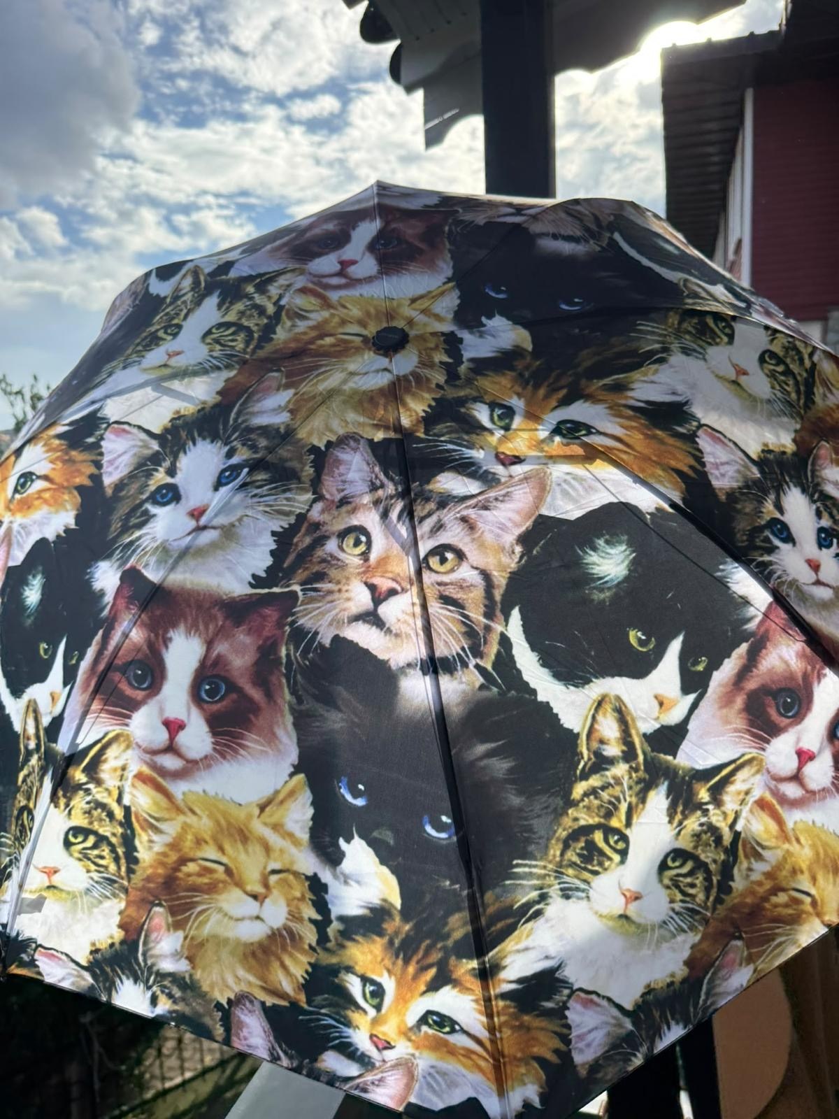 Tekir Kedi Desenli Şemsiye