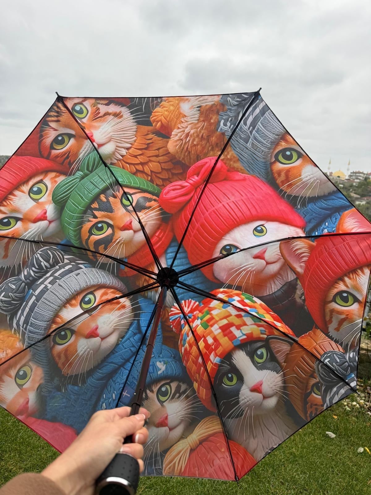 3d Bereli Kedi Desenli Şemsiye