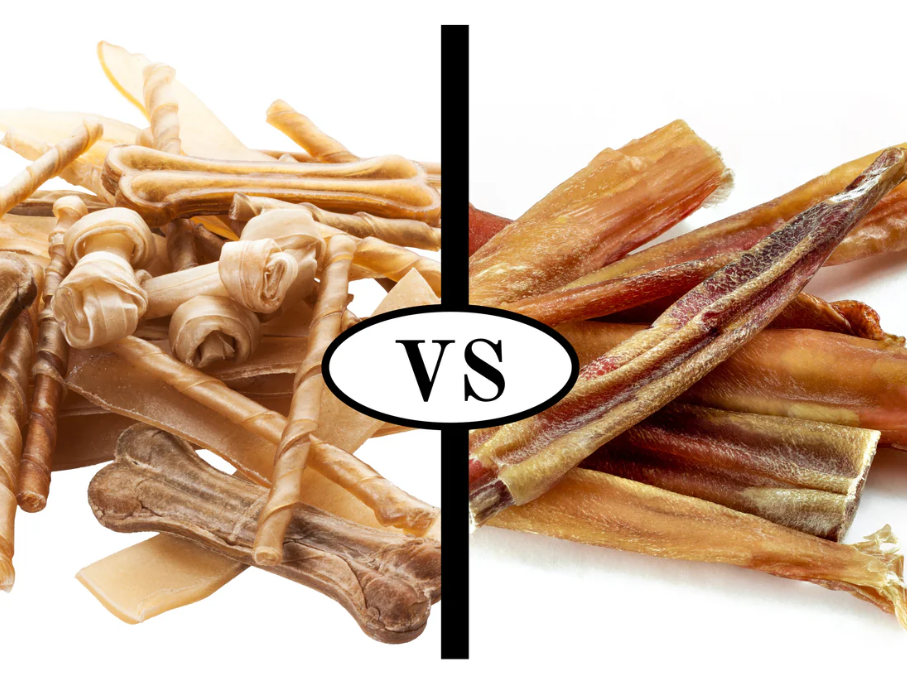 Bully Stick vs Deri Kemikler