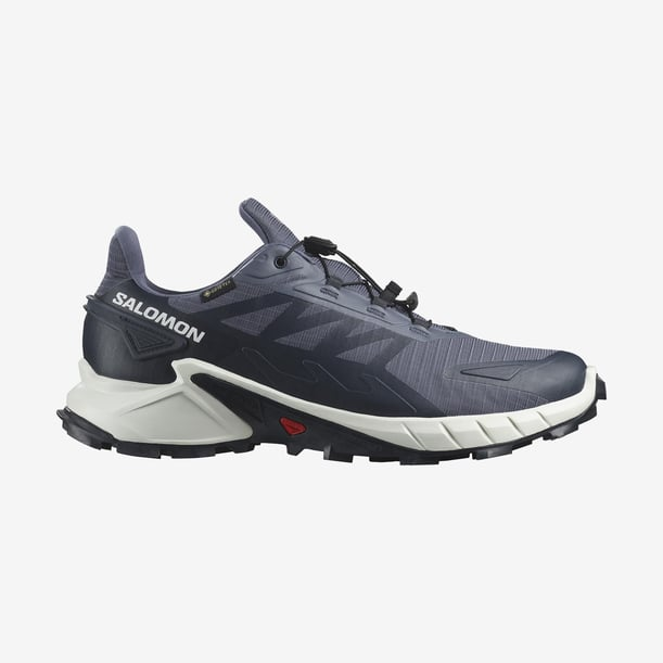 salomon erkek spor ayakkabı supercross 4 gtx grisaille/white/carbon22KEAY000171-SL97SALOMON