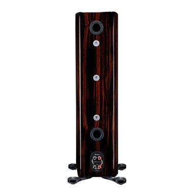 Platinum 300 3G - Piano Ebony