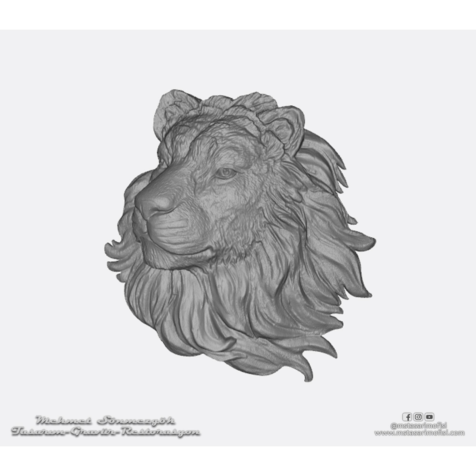 Arslan STL Model_2