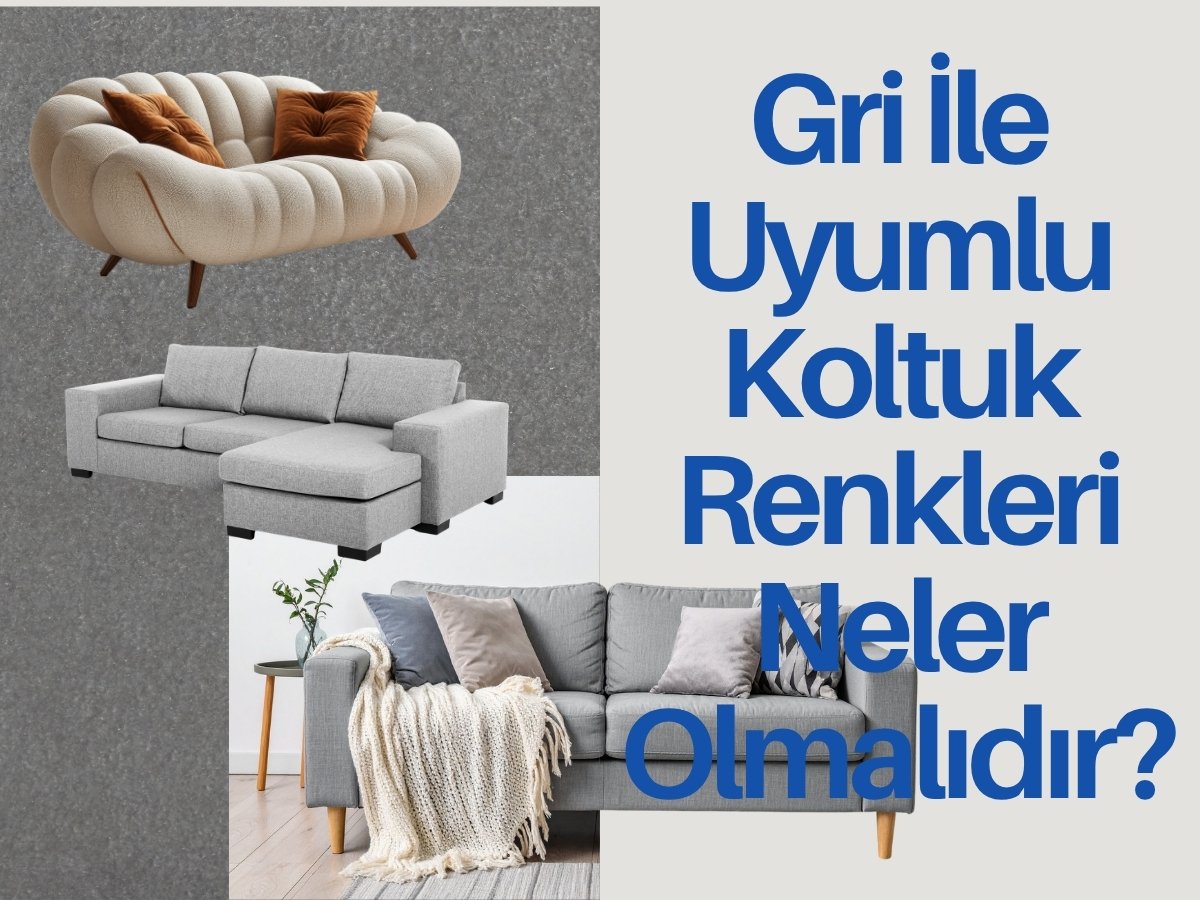 Gri İle Uyumlu Koltuk Renkleri