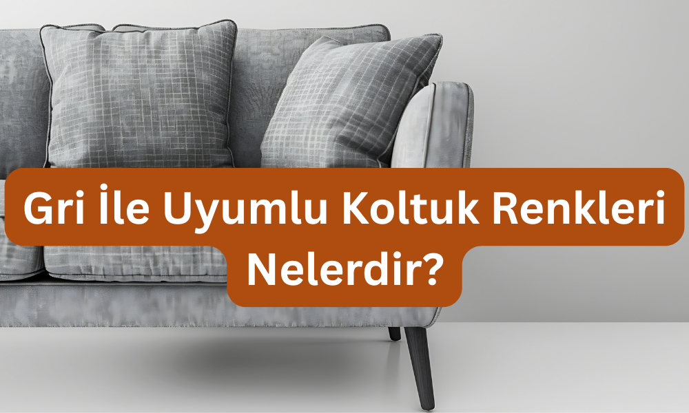 Gri İle Uyumlu Koltuk Renkleri