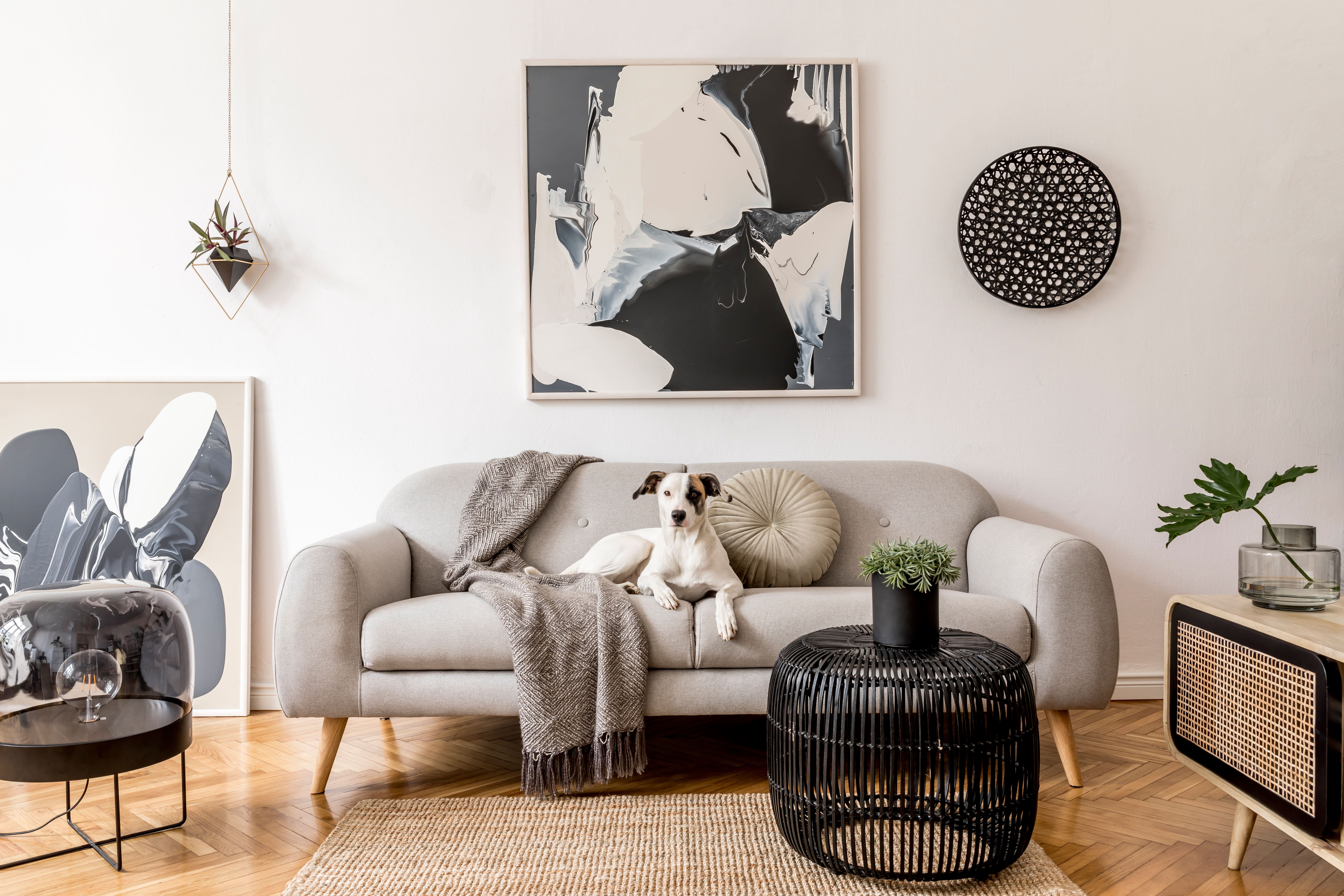 Salon İçin Tablo Seçimi
