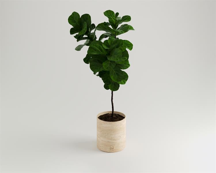 Grete-Traverten Vazo