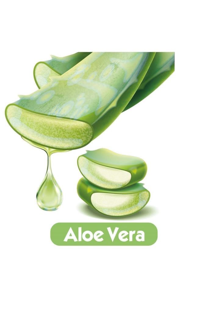 Baby Turco Softcare Aloe Vera Islak Bebek Havlusu 12x90 Yaprak