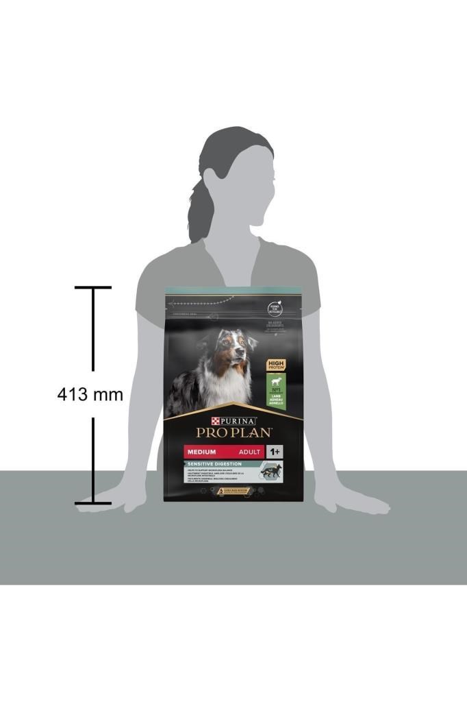 Pro Plan Köpek Maması Orta Irk Yetişkin Köpek Maması Kuzu Etli 3 kg