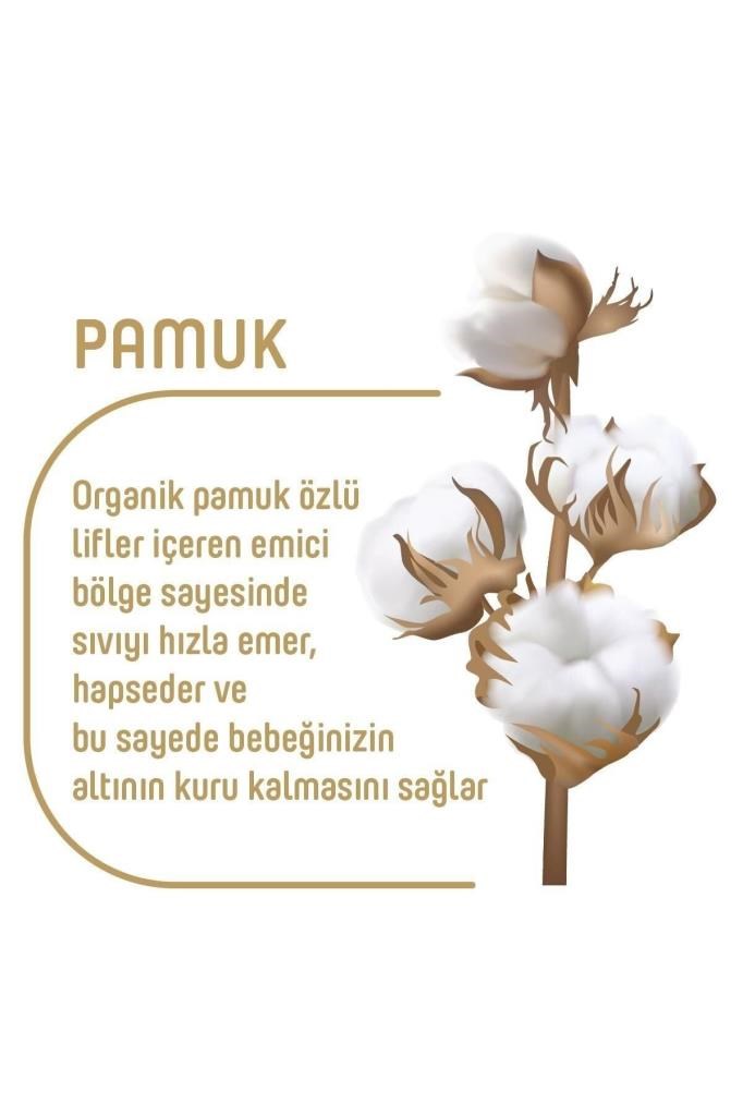 Pure Baby Organik Pamuklu 5 Numara Junior 152li Bebek Bezi