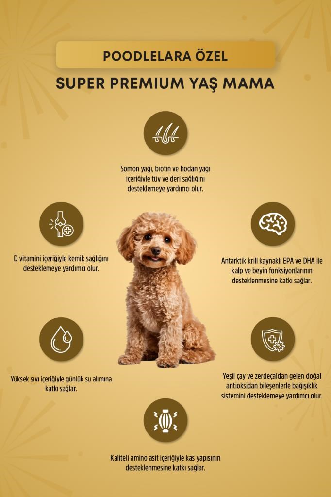 Reflex Plus Poodle Yetişkin Köpek Pouch Mama 85 Gr x 24 Adet