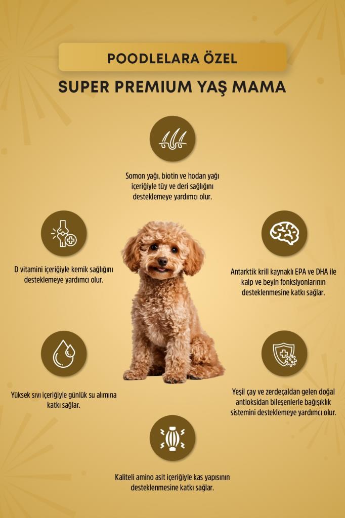 Reflex Plus Poodle Yetişkin Köpek Pouch Mama 85 Gr x 24 Adet