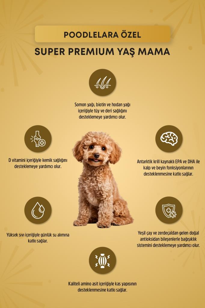 Reflex Plus Poodle Yetişkin Köpek Pouch Mama 85gr x 12 Adet