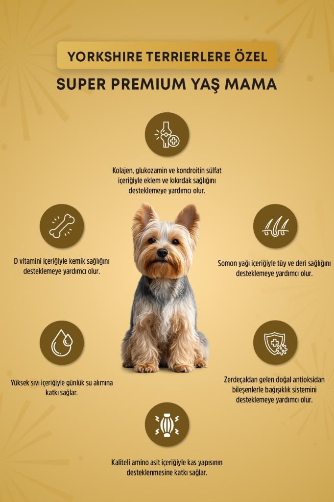 Reflex Plus Pouch Yorkshire Terrier Joint Health Pate Yetişkin Köpek Yaş Maması 85gr x 6 Adet