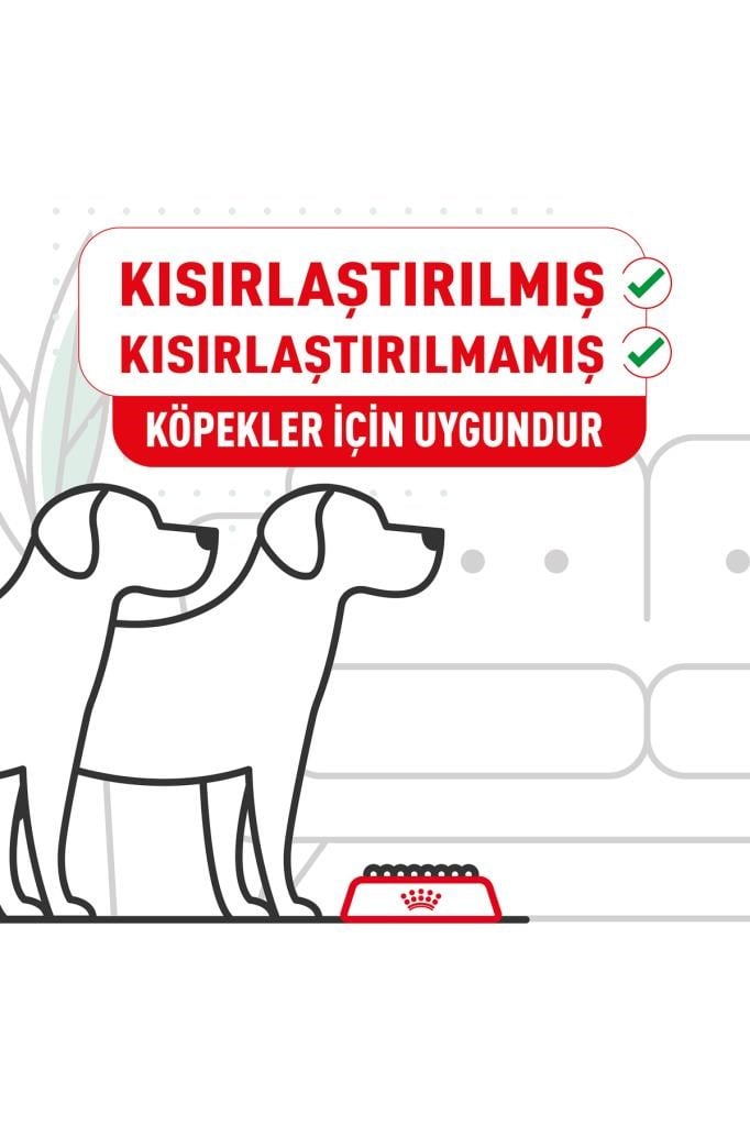 Royal Canin Cavalier King Charles 27 Yetişkin Köpek Maması 3 kg