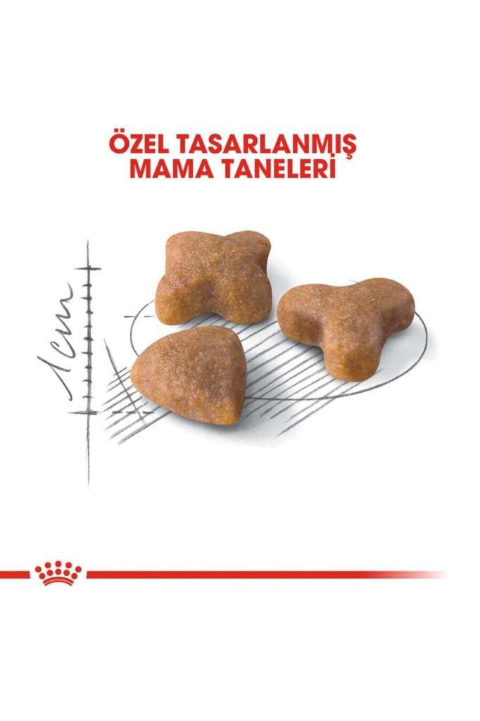 Royal Canin Sensible 33 Kuru Kedi Maması 2 Kg
