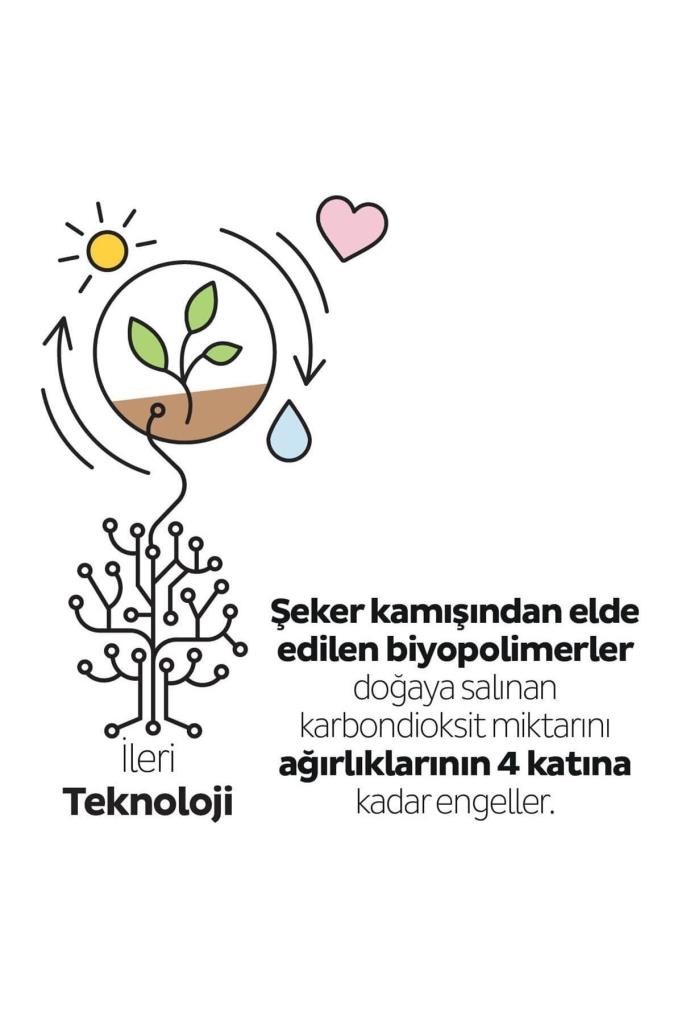 Sleepy Bio Natural Premium Plus Günlük Ped Normal 40 Adet Ped