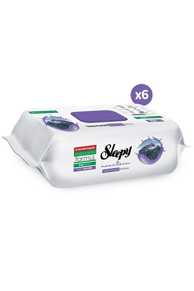 Sleepy Mountain Yüzey Temizlik Havlusu&Mendili Dağ Esintisi 6x100 (600 Yaprak)