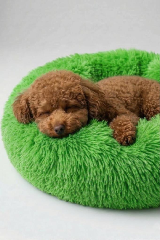United Colors of Benetton BNTMKT-0012-2-GR Uzun Kürklü Donut Kedi&Köpek Yatağı Yeşil 55 CM