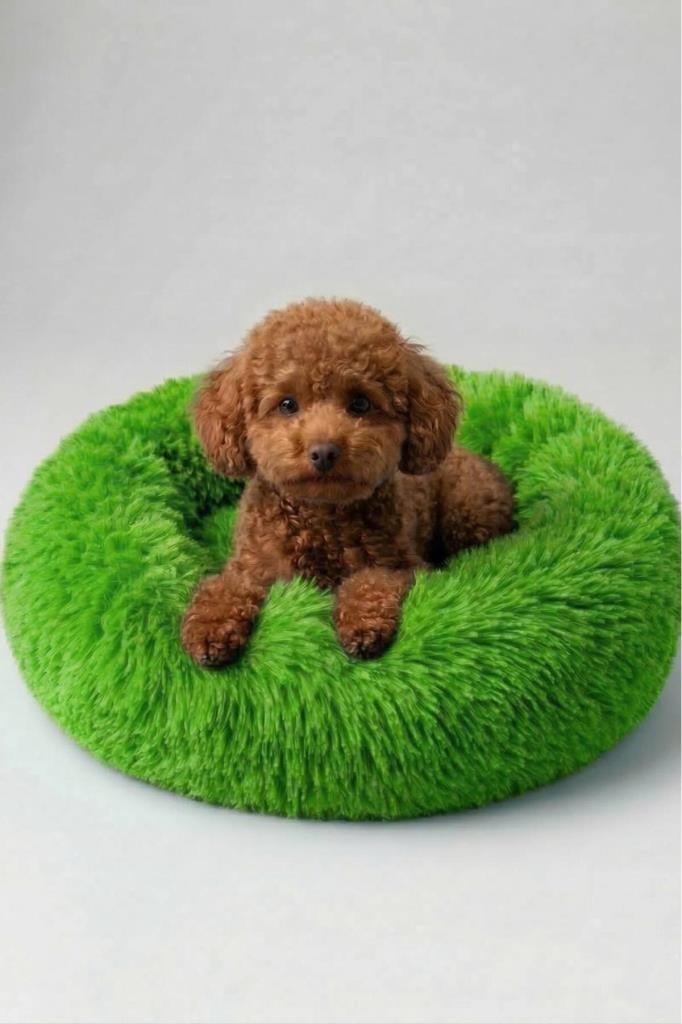 United Colors of Benetton BNTMKT-0012-2-GR Uzun Kürklü Donut Kedi&Köpek Yatağı Yeşil 55 CM