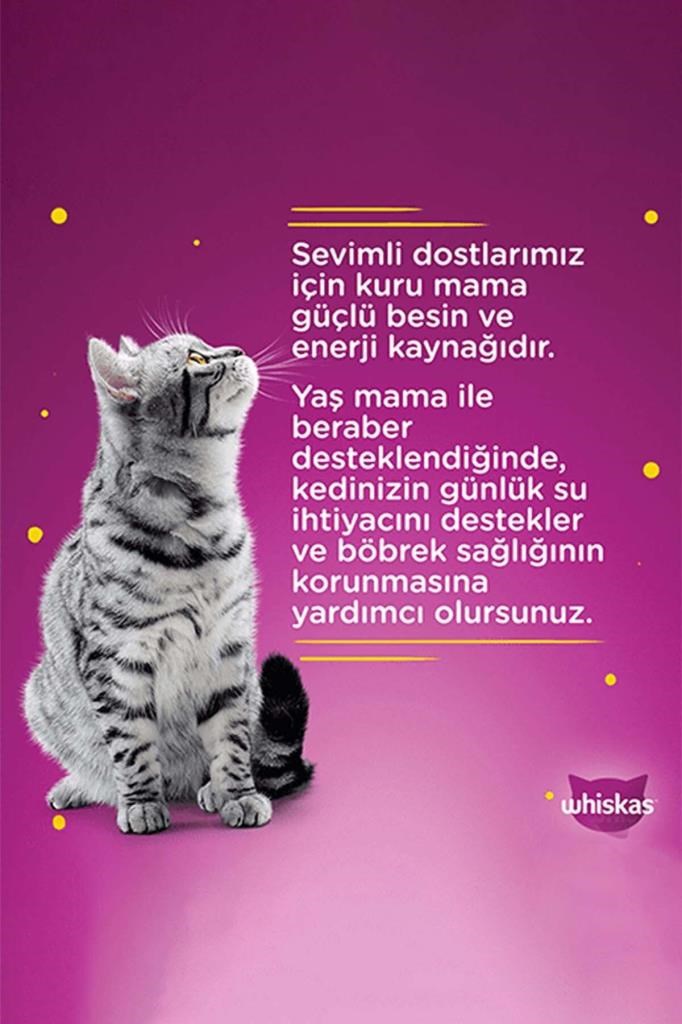 Whiskas Tasty Mix Kuzu&hindi Kedi Maması 85 gr 24x
