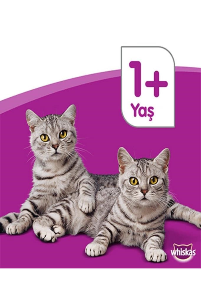 Whiskas Tastymix Kuzu Ve Hindi Etli Yetişkin Kedi Maması 28 X 85 G