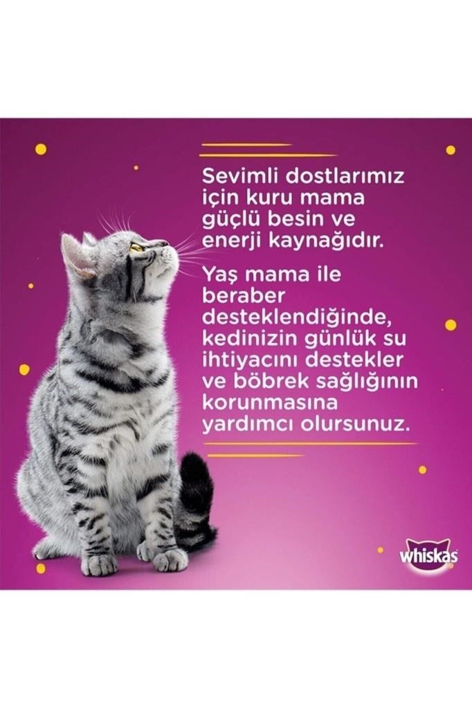 Whiskas Tastymix Kuzu Ve Hindi Etli Yetişkin Kedi Maması 28 X 85 G
