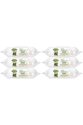 Baby Turco Turco Doğadan Pratik Yüzey Temizlik Havlusu 100 Yaprak Yeşil Sabun/Yeşil Çam (6 Lı Set) 600 Yaprak