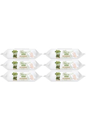 Baby Turco Turco Doğadan Pratik Yüzey Temizlik Havlusu 100 Yaprak Yeşil Sabun/Yeşil Çam (6 Lı Set) 600 Yaprak