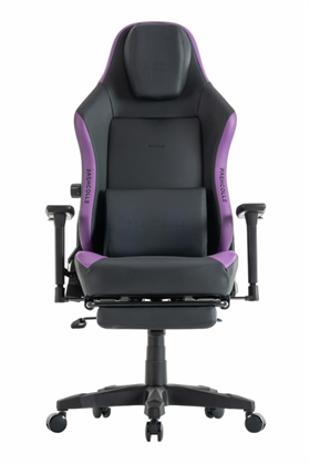 Fashcolle Globe Pro Purble Oyuncu Koltuğu