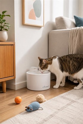 Kiwi Pets Sensörlü Kedi Köpek Su Pınarı 1 Metre Algılama Mesafeli Kpf-10559