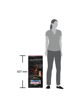 Pro Plan Büyük Irk Somonlu Yetişkin Köpek Maması 14 Kg