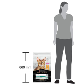 Proplan Tavuklu Kedi Maması 10 Kg