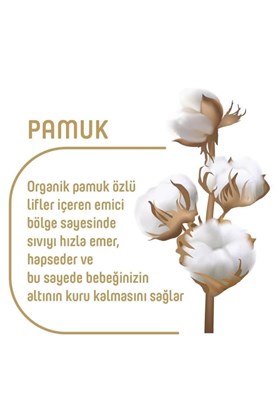 Pure Baby Organik Pamuklu 5 Numara Junior 152li Bebek Bezi