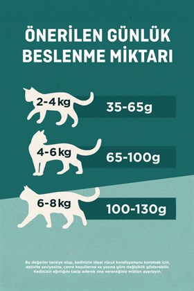 Purina One Yavru Kedi Maması Somon & Havuç 85g