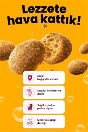 REFLEX CRUNCHY BUBBLES TAVUKLU YETISKIN KEDI MAMASI 10 KG