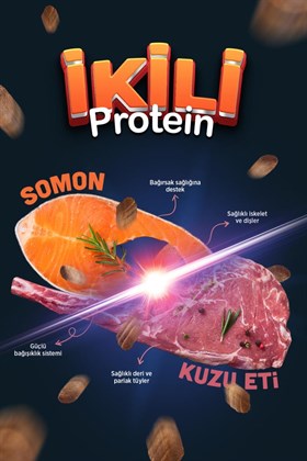 Reflex Duo Protein Somonlu & Kuzu Etli Orta ve Büyük Irk Yetişkin Köpek Maması 10 kg