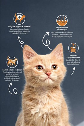 Reflex Kitten Tavuklu Ve Pirinçli Yavru Kedi Maması 2 Kg X 5 Adet