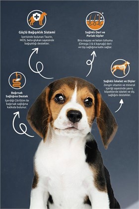 Reflex Kuzu Etli ve Pirinçli Yavru Köpek Maması 15 kg
